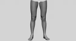Female Leg 3D model