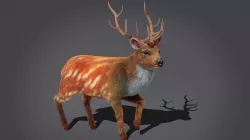 Fur Rigged Deer Stag Low-poly 3D model