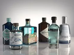Gin Bottles 3D model