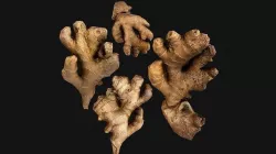 Ginger Low-poly 3D model