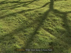Grass landscape 3D model