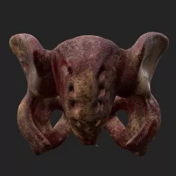 Horror Prop Bloody Pelvis 3D model