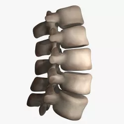 Lumbar Spine 3D model