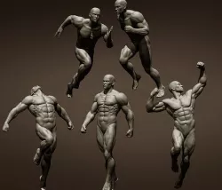 Male full body poses  3D model