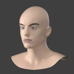 Natural Male Head 03 Generic Mesh 3D model