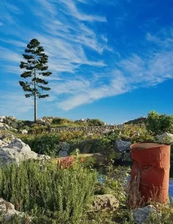 Nature scene and nature pack 3D model