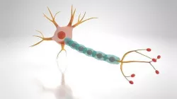 Neuron Cell Low-poly 3D model