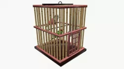 Parakeets in cage Low-poly 3D model