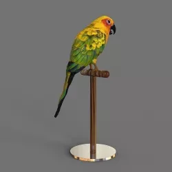 Parrot Conuro del Sole 3D model