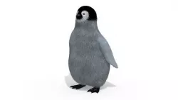 Penguin 3D model