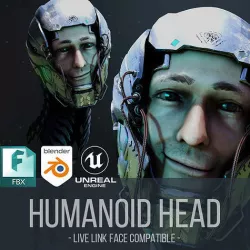 Photorealistic Humanoid Head 3D model