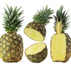 Pineapple 3D model