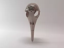 RAVEN SKULL 3D model