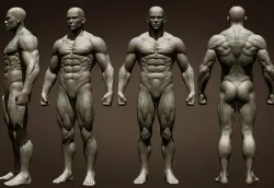 Realistic Male Full Body 3D model