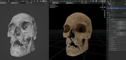 REALISTIC MEN CRANIUM  3D model