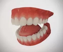 Realistic Mouth for character Low-poly 3D model
