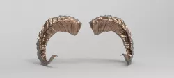 Sheep horns 3D 3D model