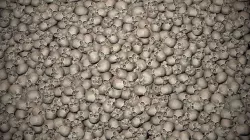 Skulls texture Texture