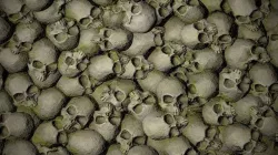 Skulls with Moss  Texture