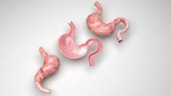 stomach bulge porn 3d | Page 1 | STLFinder