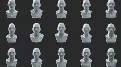 Stylized Head Ecorche  3D model