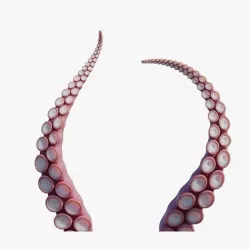 Tentacle Low-poly 3D model