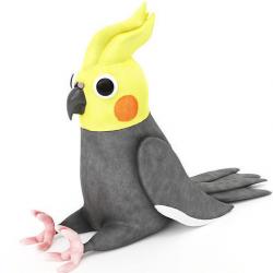 cockatiel toys 3d models 【 STLFinder