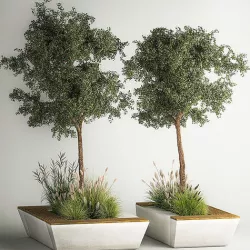 Trees for landscape design with a bench and bushes 1129 3D model