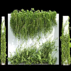Wall Artificial Hanging Plants and Plants Hanging On Pillars 3D model