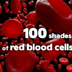 100 shades of red blood cells Low-poly  3D model