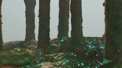 Alien world environment scene  Low-poly  3D model