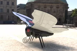 butter fly