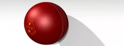 cricket ball
