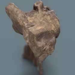 Dancing Brown Rock Low-poly  3D model