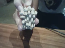 FISH!! :)