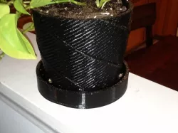 Flower Pot