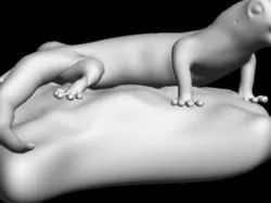 gecko