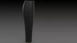 Leg Prosthetic