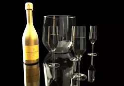 Modern Champagne Set 3D model