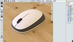 mouse