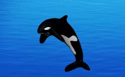 Orca Whale 3D model