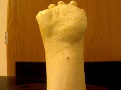 Peregrine Paw