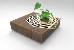 Plante