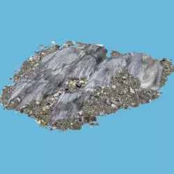 Punk Rock 3D model
