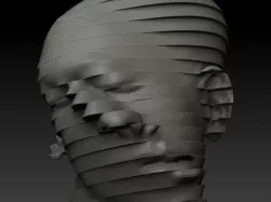 Slicer