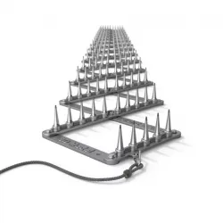 Spike Strip 3D model