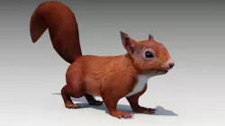Squirrel Low-poly  3D model