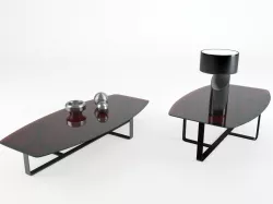 Table Tempo Natuzzi  3D model