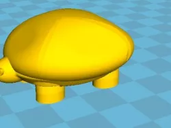 Tortoise!