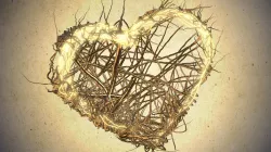 Valentine Heart Growth Animated 3d Sequence 3D model